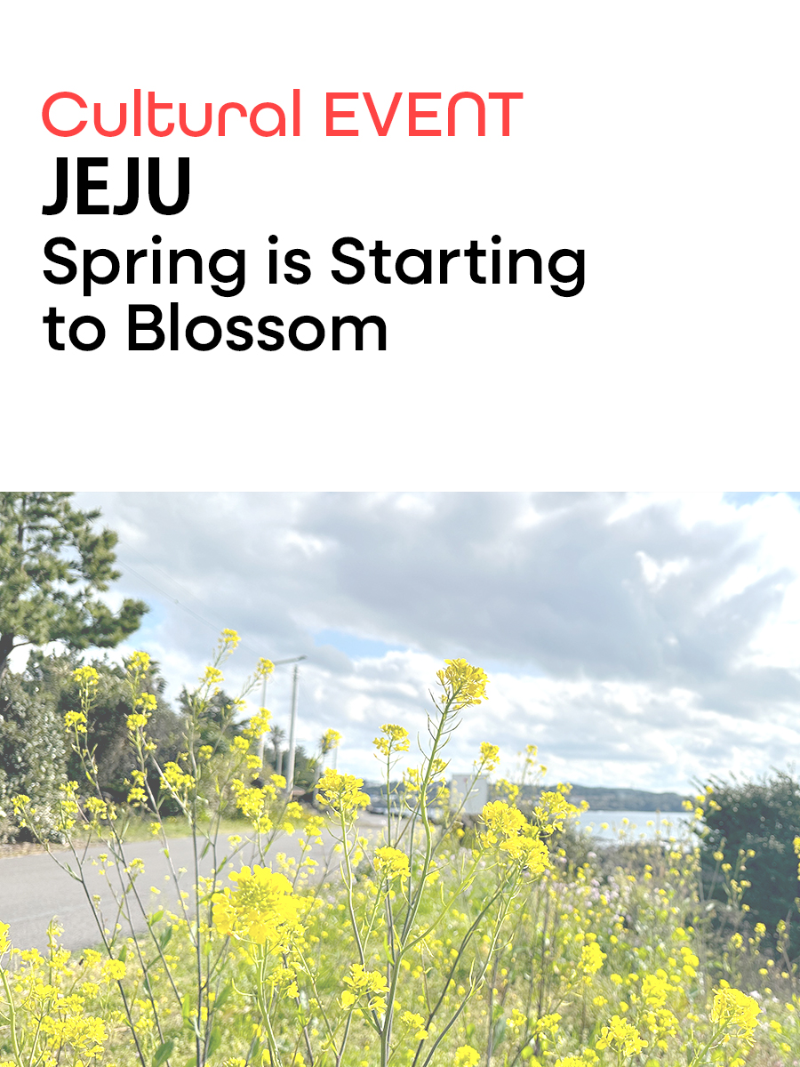JEJU: Spring Is Starting to&nbsp;Blossom